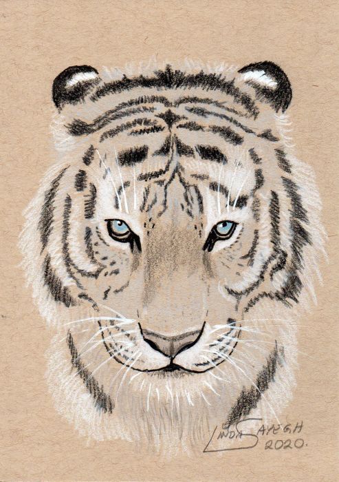 White Tiger by Linda Sayegh